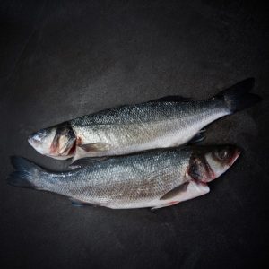 European Bass Branzino