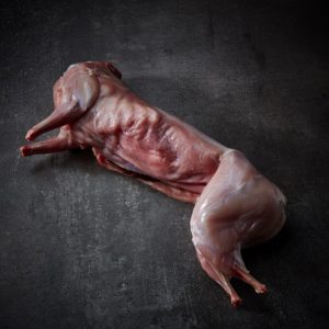Rabbit Whole
