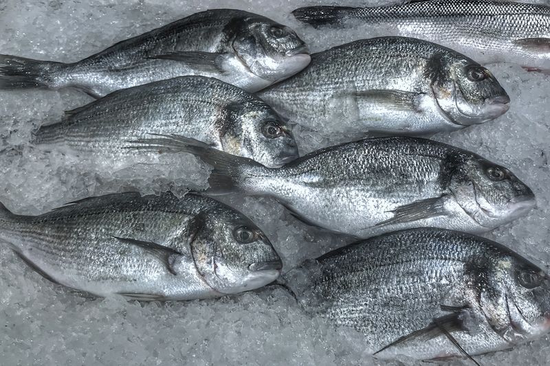 Fish & Seafood